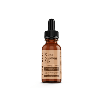 Nootrocan 3000mg 10% Full - Spectrum CBD Nootropic Tincture - 30mlCBD ProductsNootrocanVaperr Shop