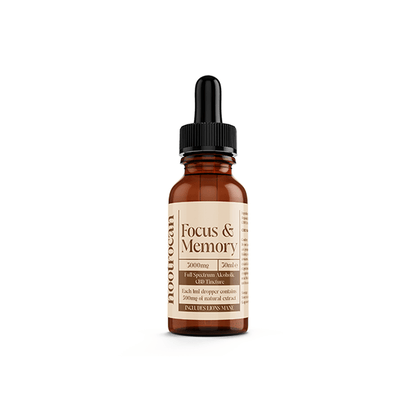 Nootrocan 3000mg 10% Full - Spectrum CBD Nootropic Tincture - 30mlCBD ProductsNootrocanVaperr Shop