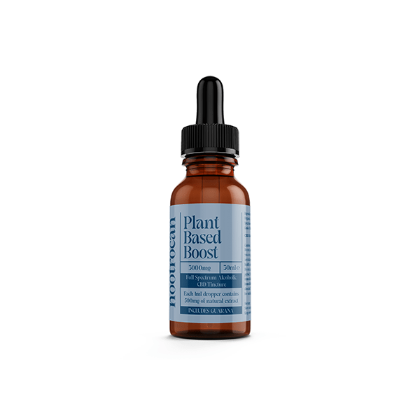 Nootrocan 3000mg 10% Full - Spectrum CBD Nootropic Tincture - 30mlCBD ProductsNootrocanVaperr Shop