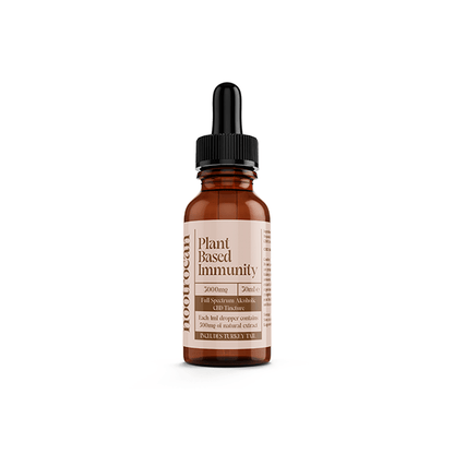 Nootrocan 3000mg 10% Full - Spectrum CBD Nootropic Tincture - 30mlCBD ProductsNootrocanVaperr Shop