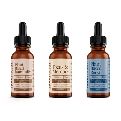 Nootrocan 3000mg 10% Full - Spectrum CBD Nootropic Tincture - 30mlCBD ProductsNootrocanVaperr Shop